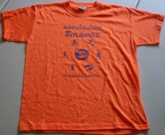 20090419015641-camiseta-enzona.jpg